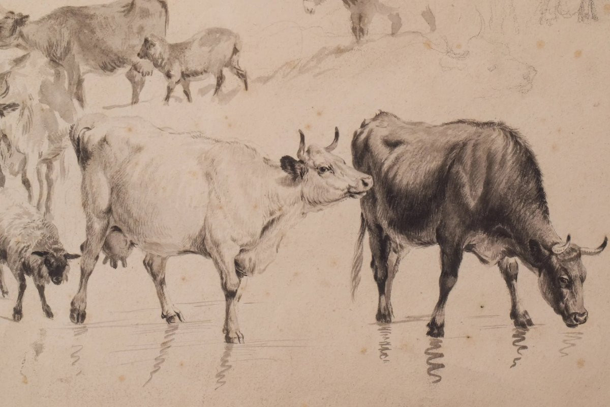 Study Of Cattle And Sheep – Thomas Sidney Cooper Or Follower-photo-3