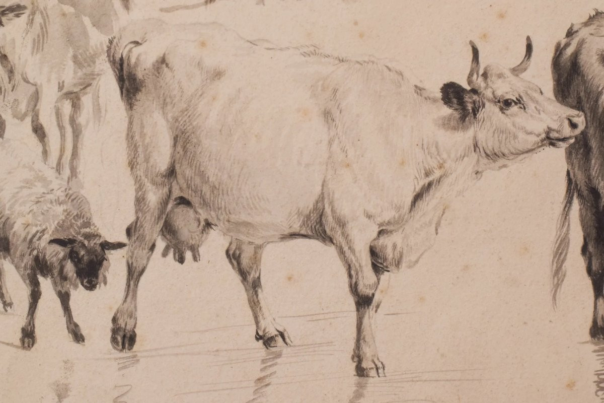 Study Of Cattle And Sheep – Thomas Sidney Cooper Or Follower-photo-1