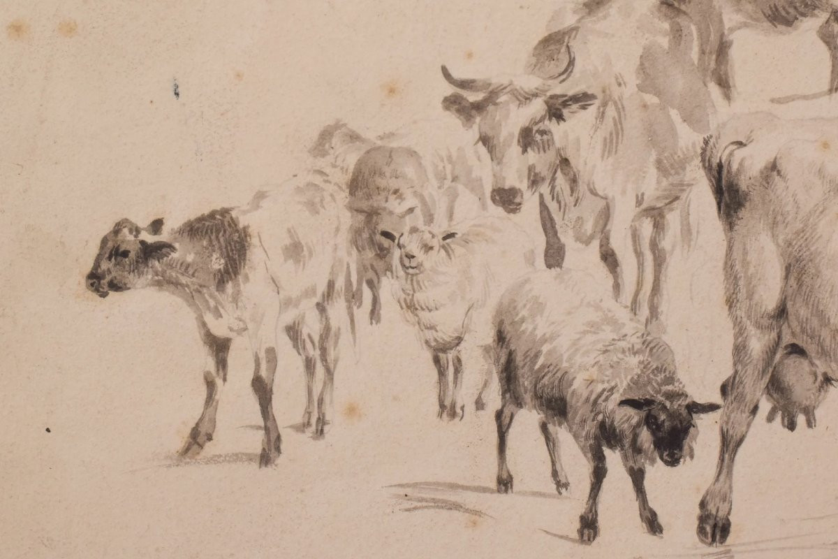 Study Of Cattle And Sheep – Thomas Sidney Cooper Or Follower-photo-2