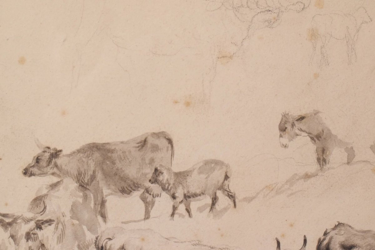 Study Of Cattle And Sheep – Thomas Sidney Cooper Or Follower-photo-3