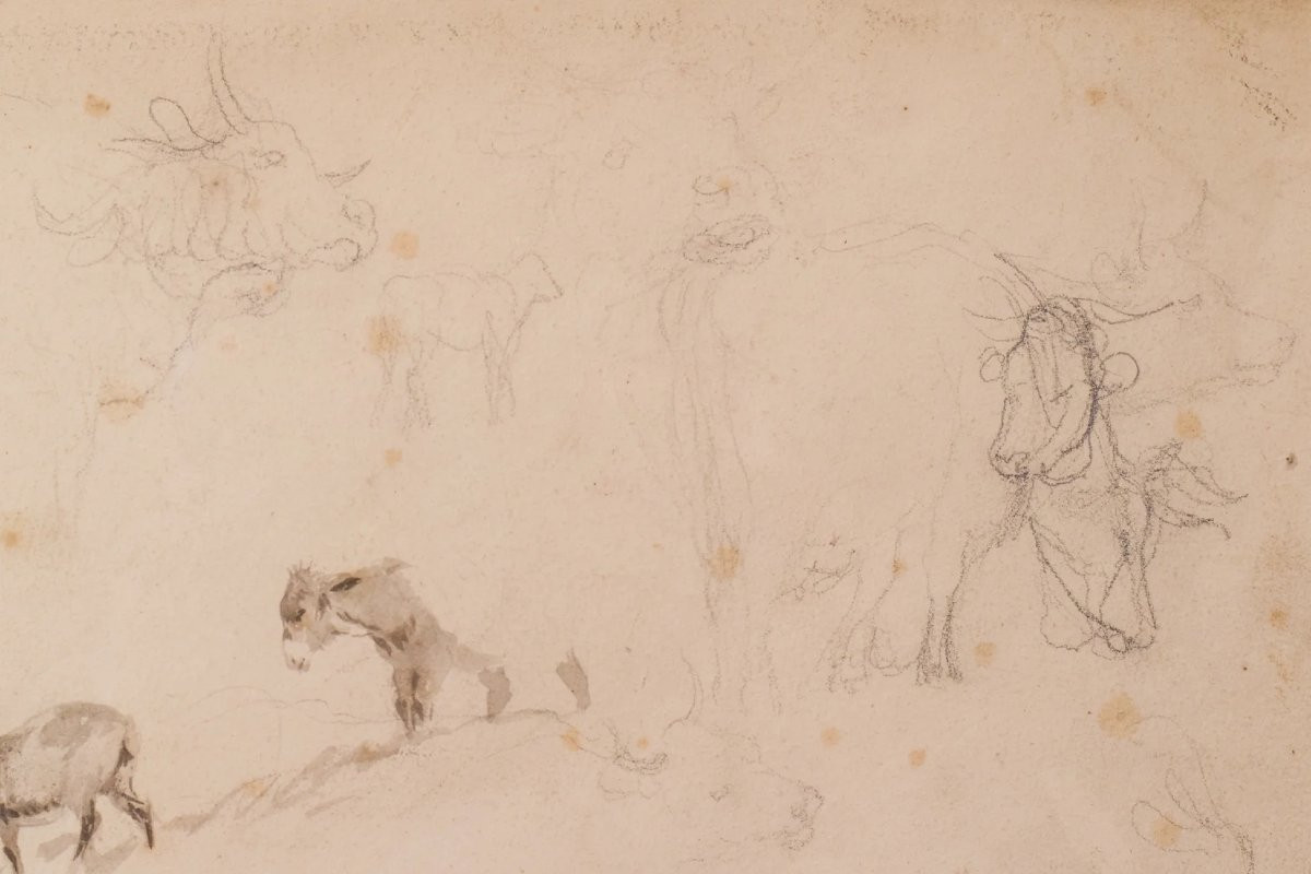 Study Of Cattle And Sheep – Thomas Sidney Cooper Or Follower-photo-4