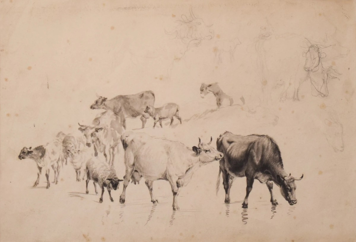 Study Of Cattle And Sheep – Thomas Sidney Cooper Or Follower