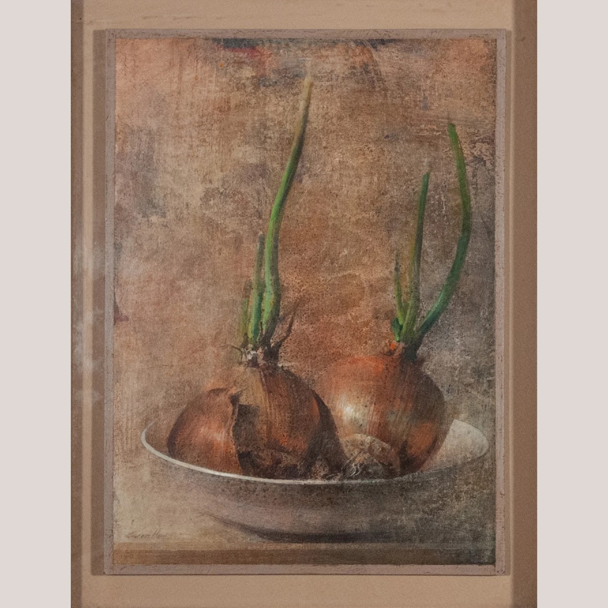 Nature morte d'oignons germés – Artiste actuellement inconnu