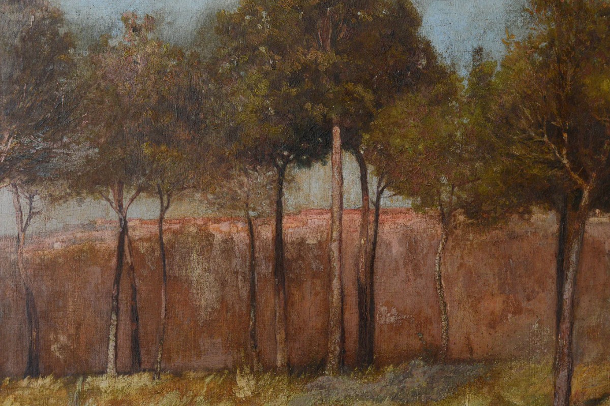 Paysage doré avec un village au loin, rappelant Orange Road, Tarpon Springs-photo-4