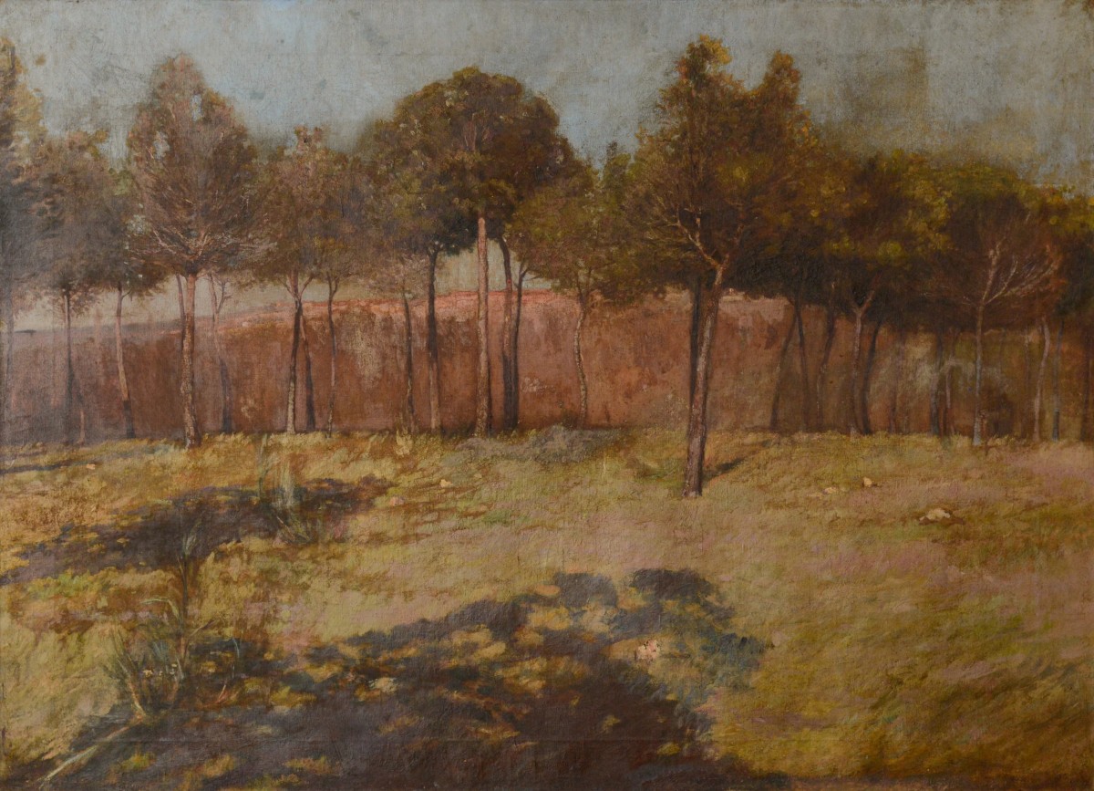 Golden Landscape With Distant Settlement, Reminiscent Of Orange Road, Tarpon Springs-photo-2