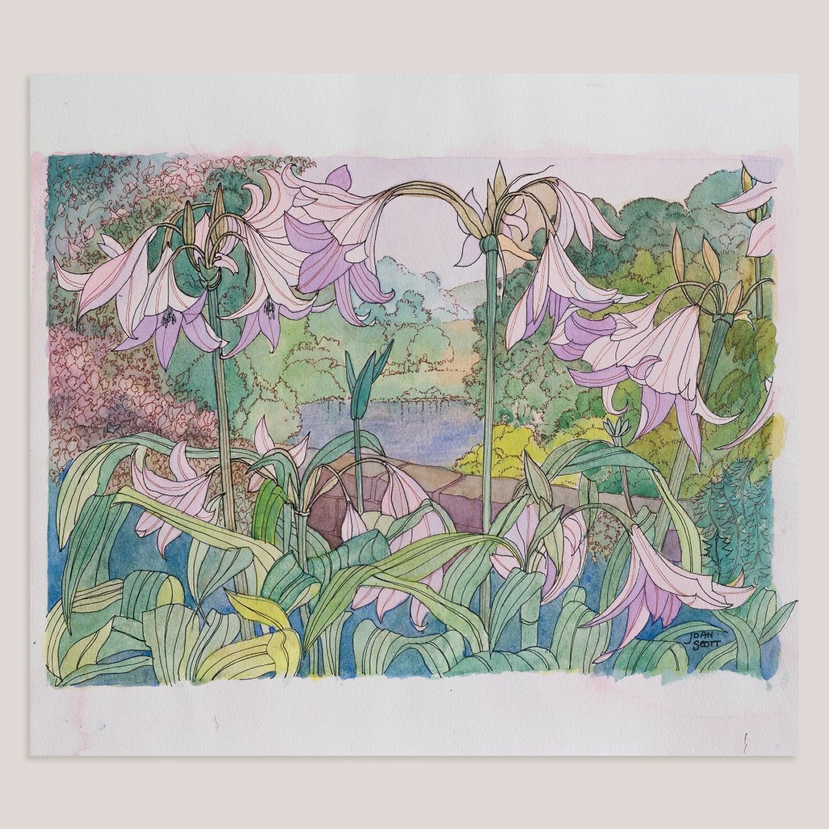 Lys roses par Joan Scott - Aquarelle-photo-2