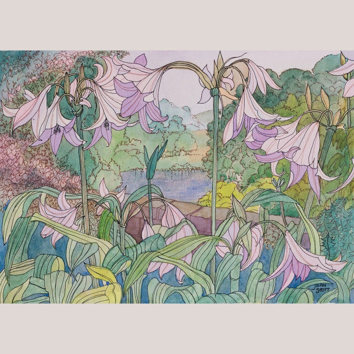 Lys roses par Joan Scott - Aquarelle