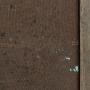 1645525-alb-6abb9e256ad73.jpg