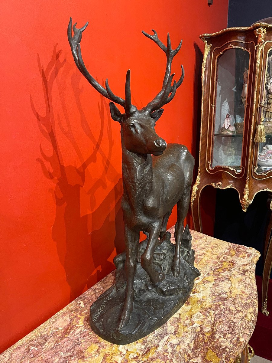 Cerf En Bronze-photo-4