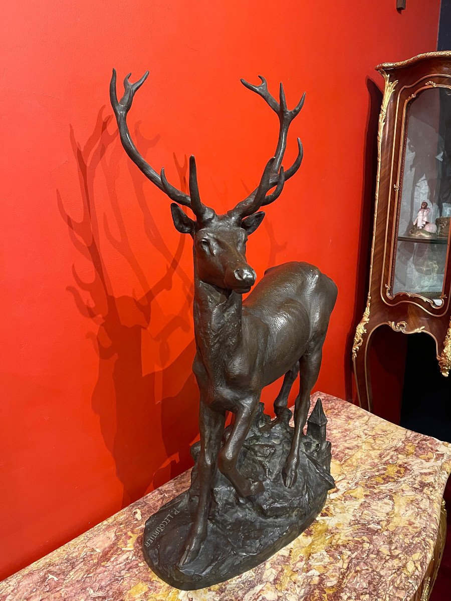 Cerf En Bronze-photo-2