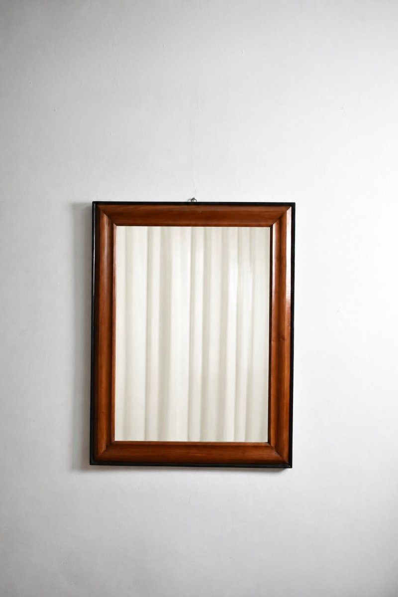 Paire de miroirs en bois bicolore et bois ébonisé, XIXe siècle.-photo-4