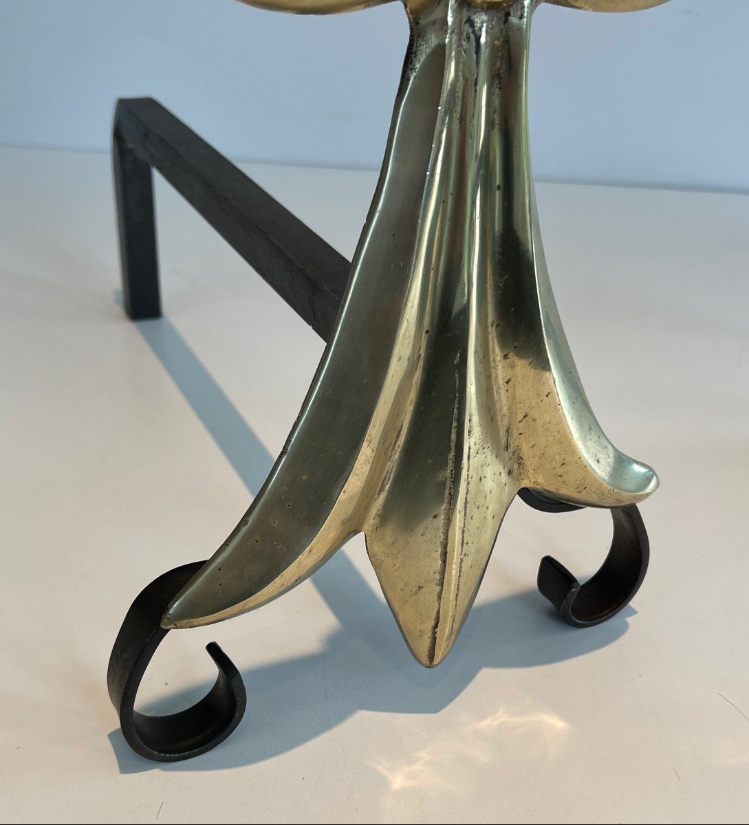 Paire de chenets en bronze et fer forgé représentant une queue d’hermine. Vers 1900-photo-4
