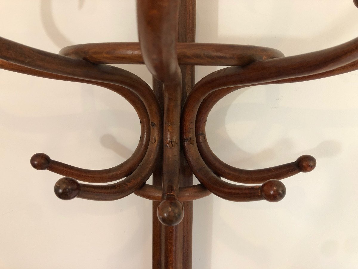 Porte-manteau Perroquet Demi-lune En Bois. Travail Français. Vers 1900-photo-2