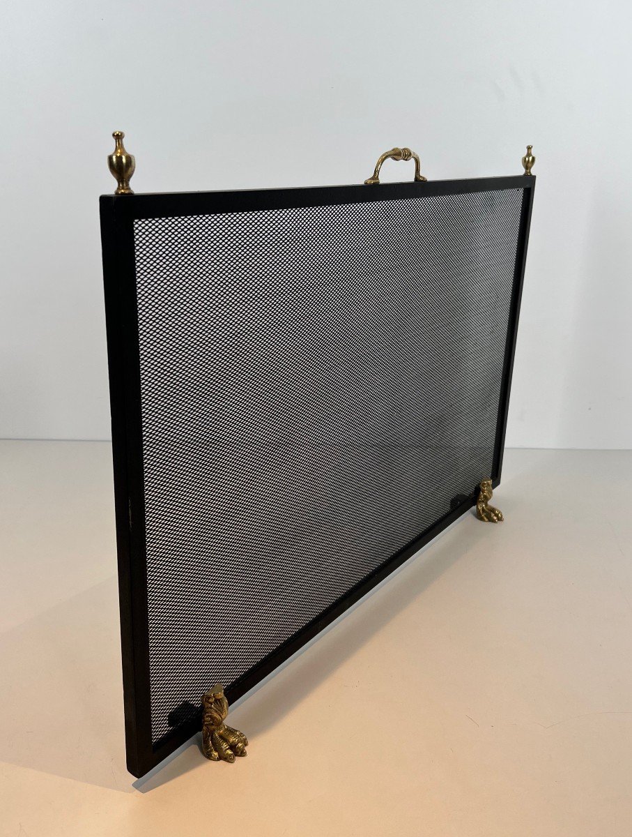 Neoclassical Style Fire Screen In Steel, Brass And Bronze Claw Feet Fence. Work-photo-7