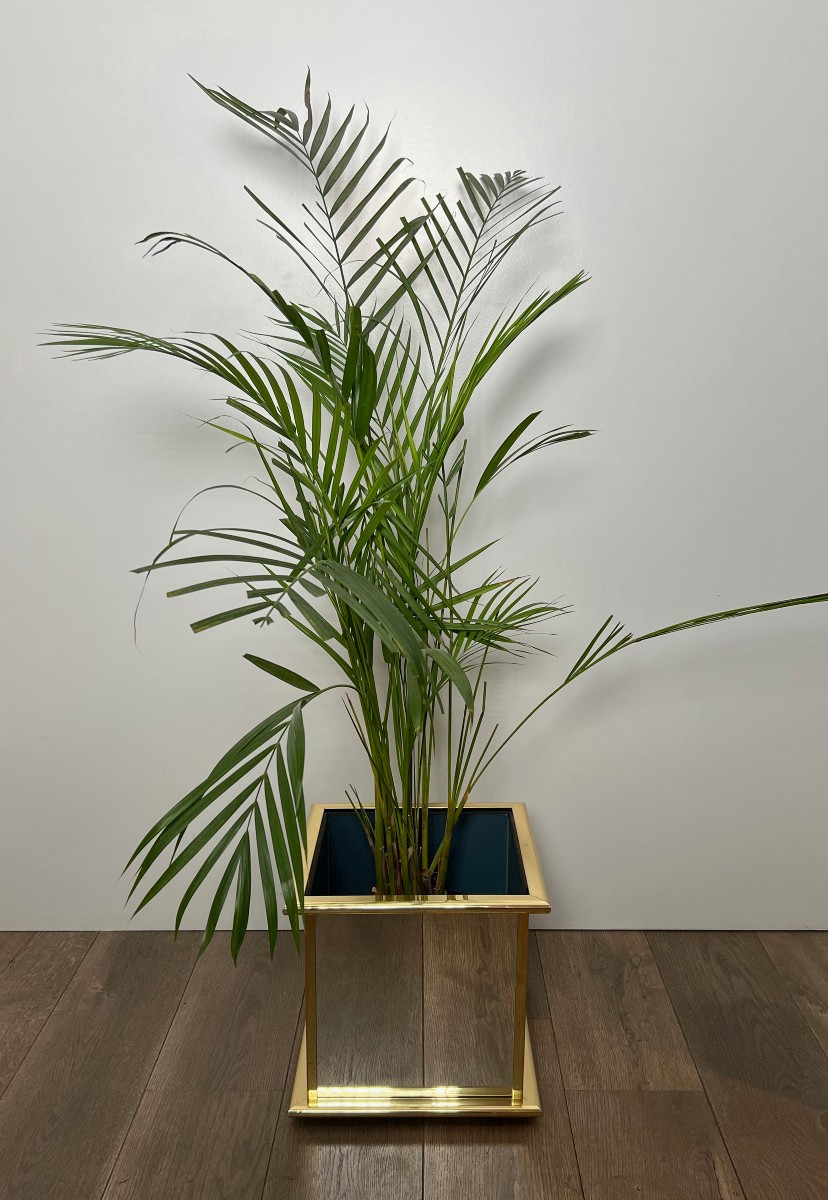 Jardinière en miroir et métal doré. Travail Français. Vers 1970