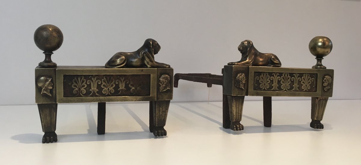 Pair Of Empire Period Bronze Andirons With Lions. French. Circa 1850-photo-2