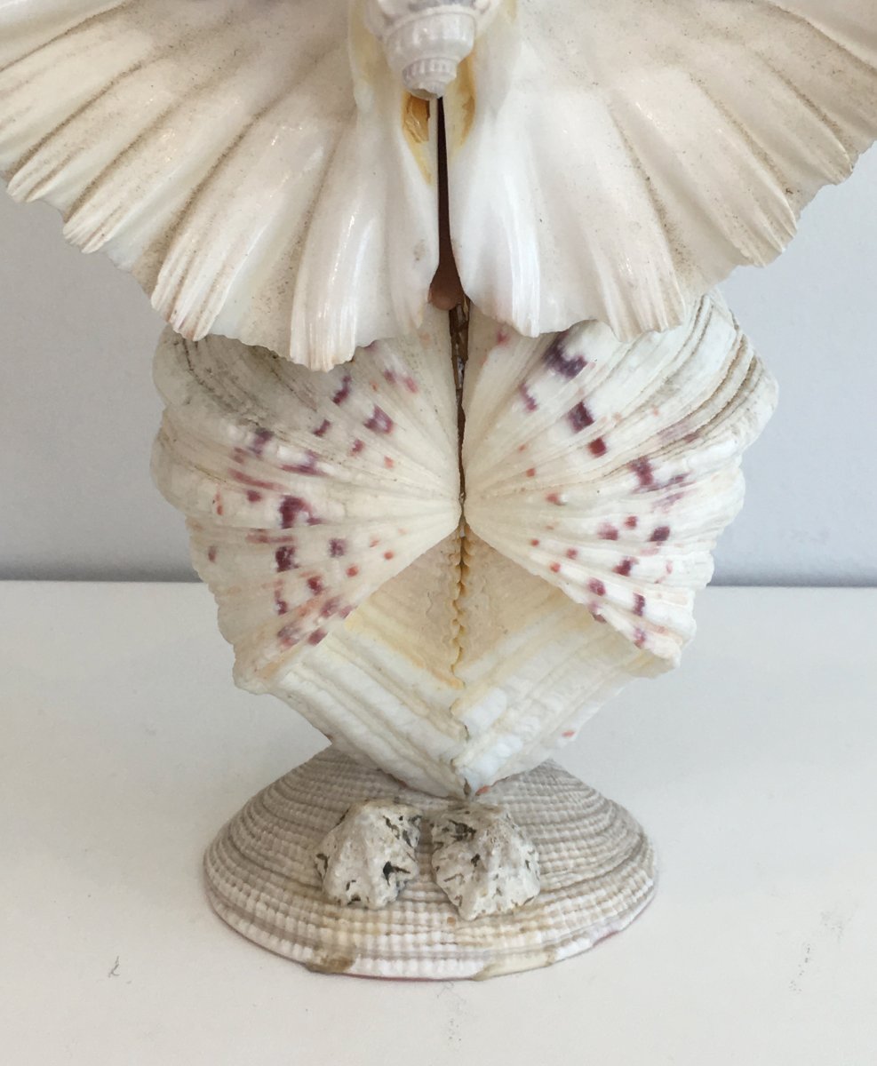 Funny Owl Made Of Shells. French. Circa 1970-photo-5