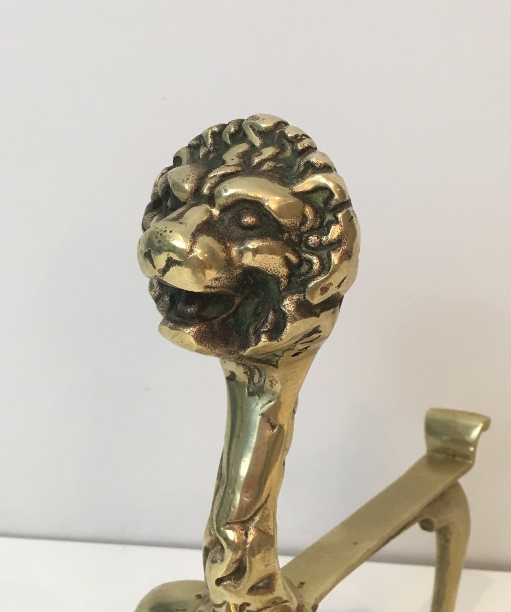 Unusual Pair Of Lions Bronze Andirons. French. Circa 1900-photo-4