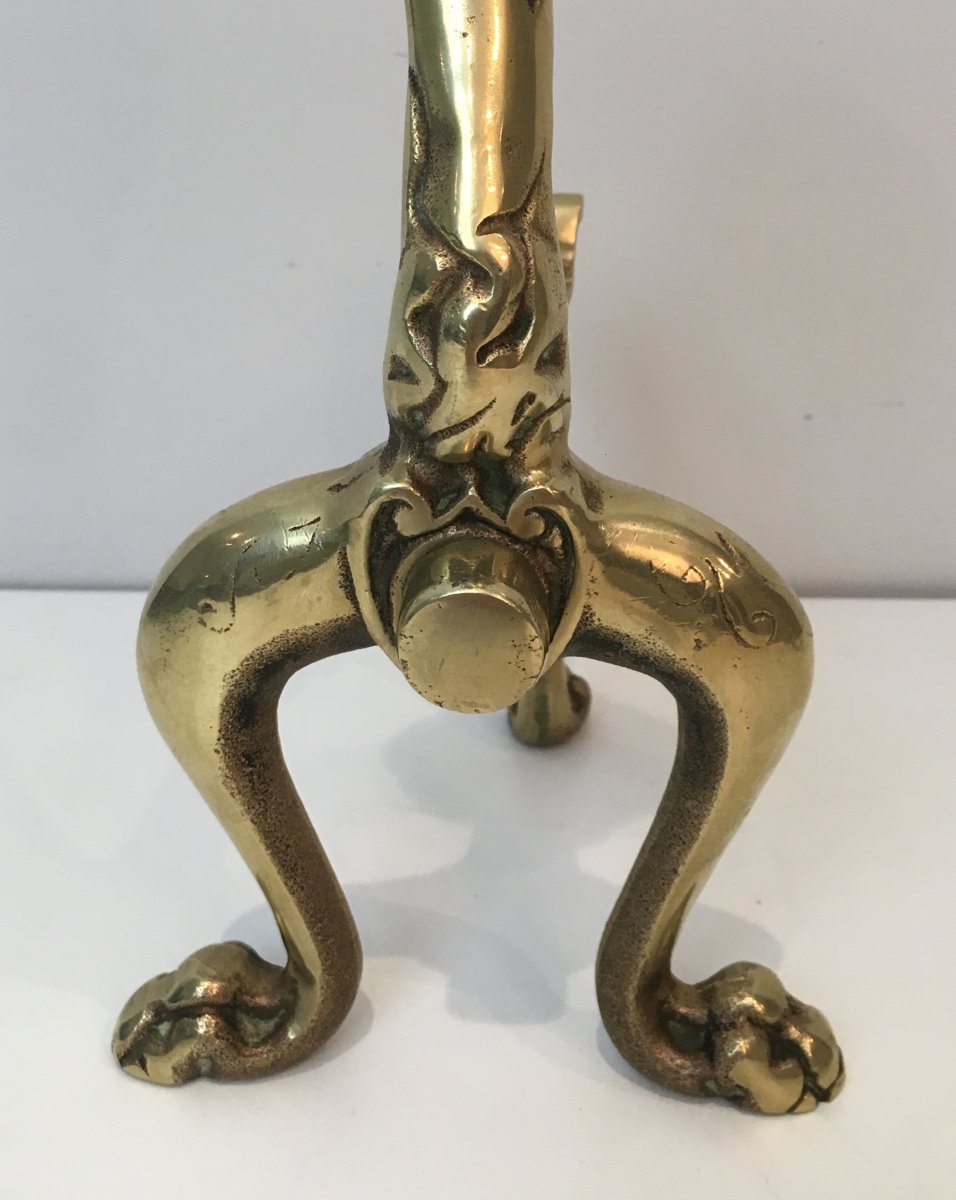Unusual Pair Of Lions Bronze Andirons. French. Circa 1900-photo-7