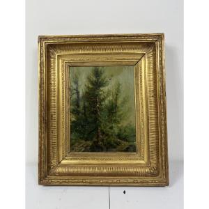 Oil On Cardboard