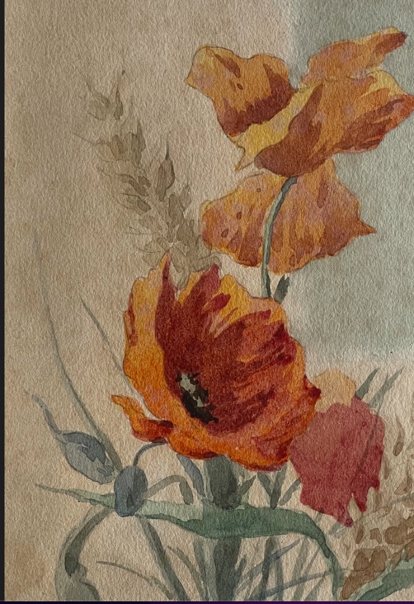 Poppies-photo-3