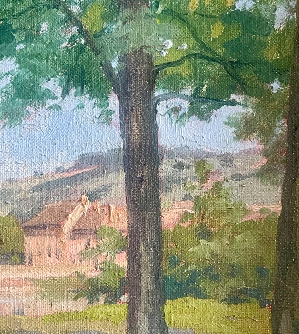 Paysage brésilien-photo-1