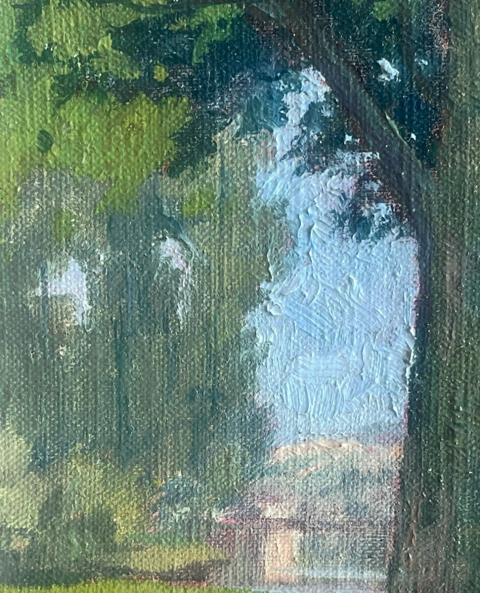 Paysage brésilien-photo-2