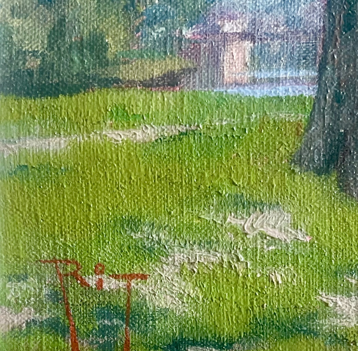 Paysage brésilien-photo-3