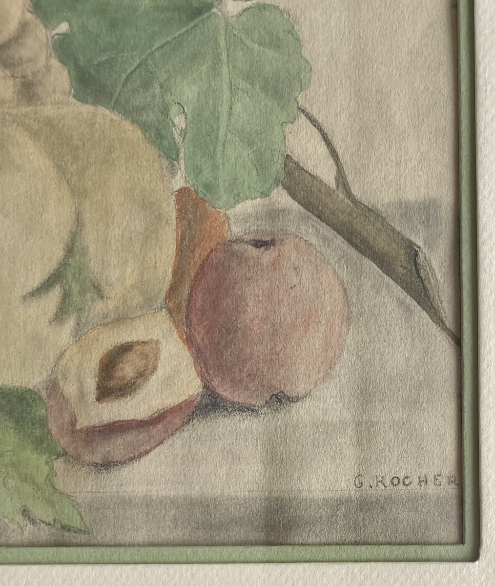Composition de fruits-photo-4
