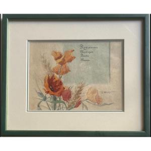 Poppies
