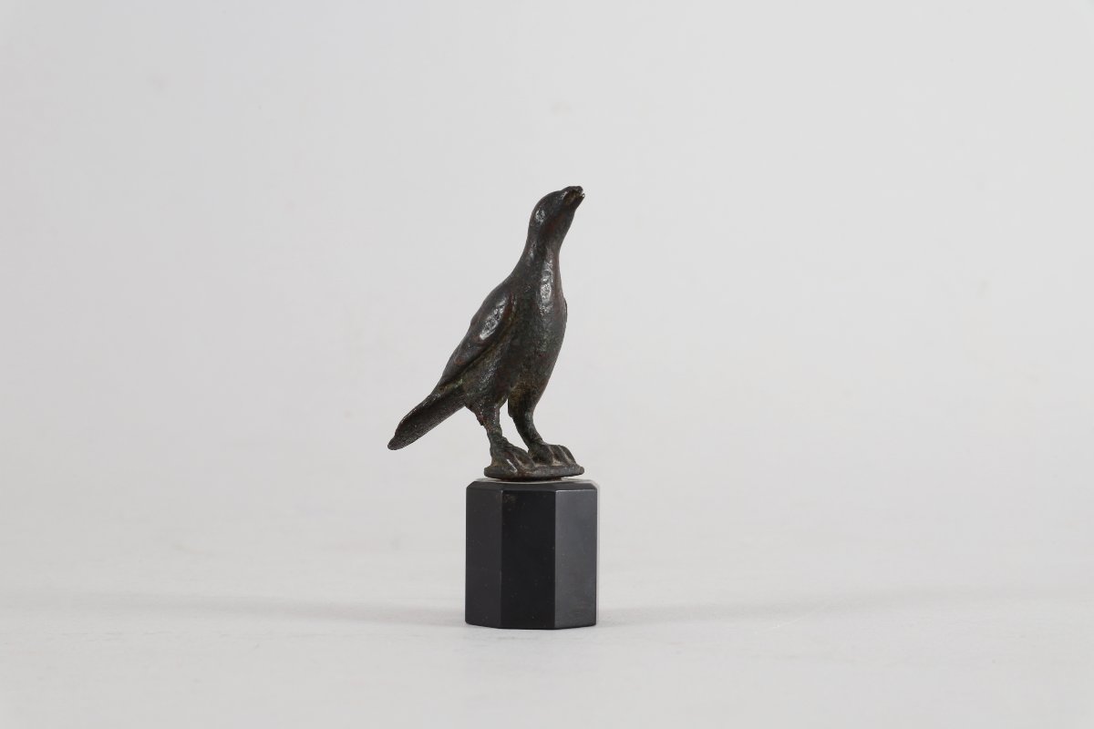 Oiseau en bronze antique-photo-3