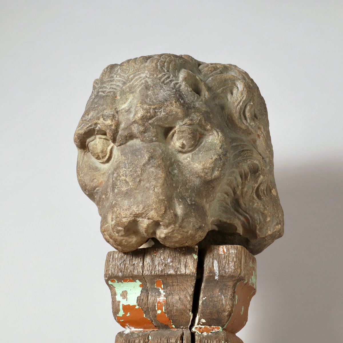 Tête de Lion-photo-2