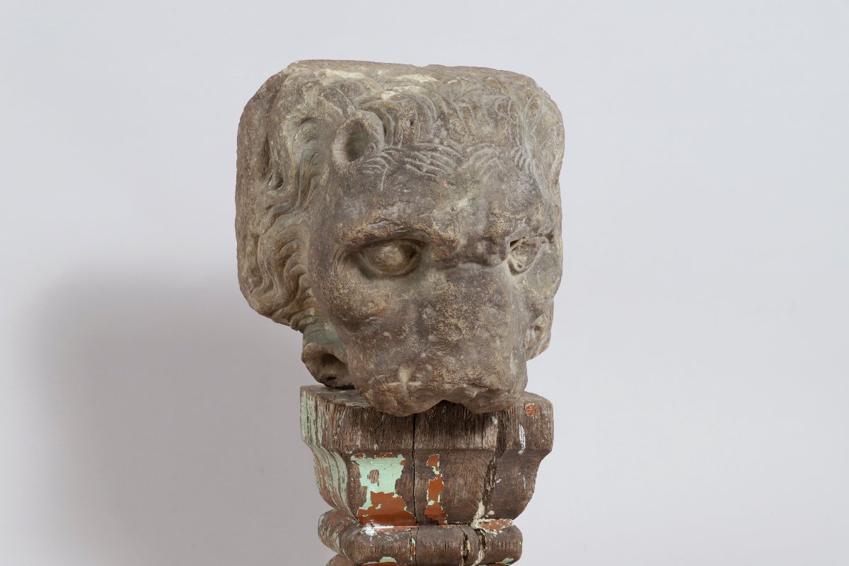 Tête de Lion-photo-3