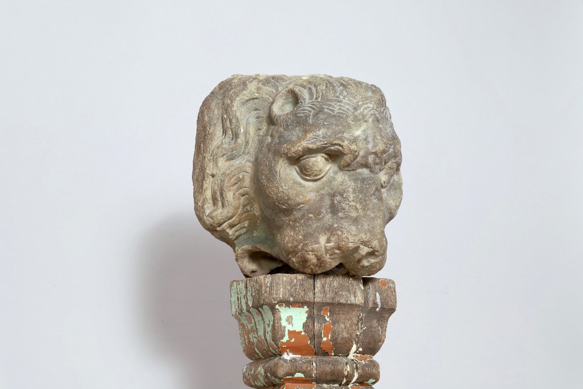 Tête de Lion-photo-4