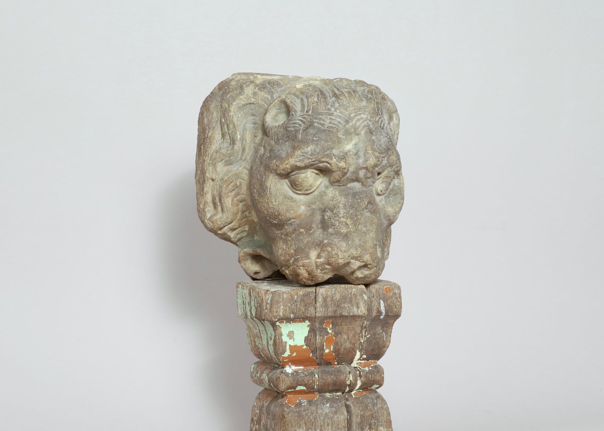 Tête de Lion-photo-1