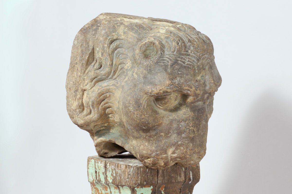 Tête de Lion-photo-2