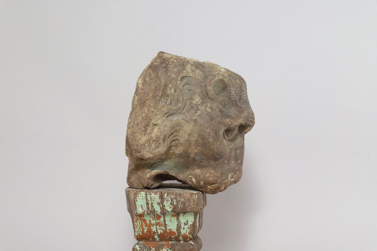 Tête de Lion-photo-4