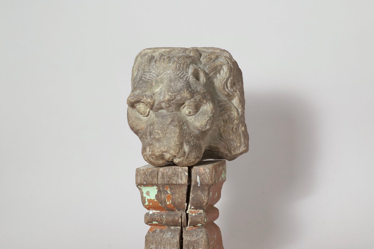 Tête de Lion-photo-5