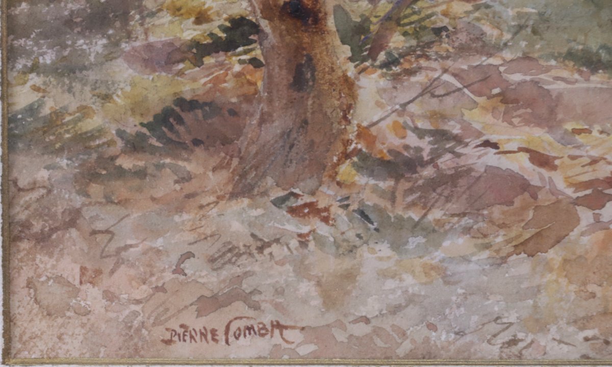 Watercolor By Pierre Combat-photo-1