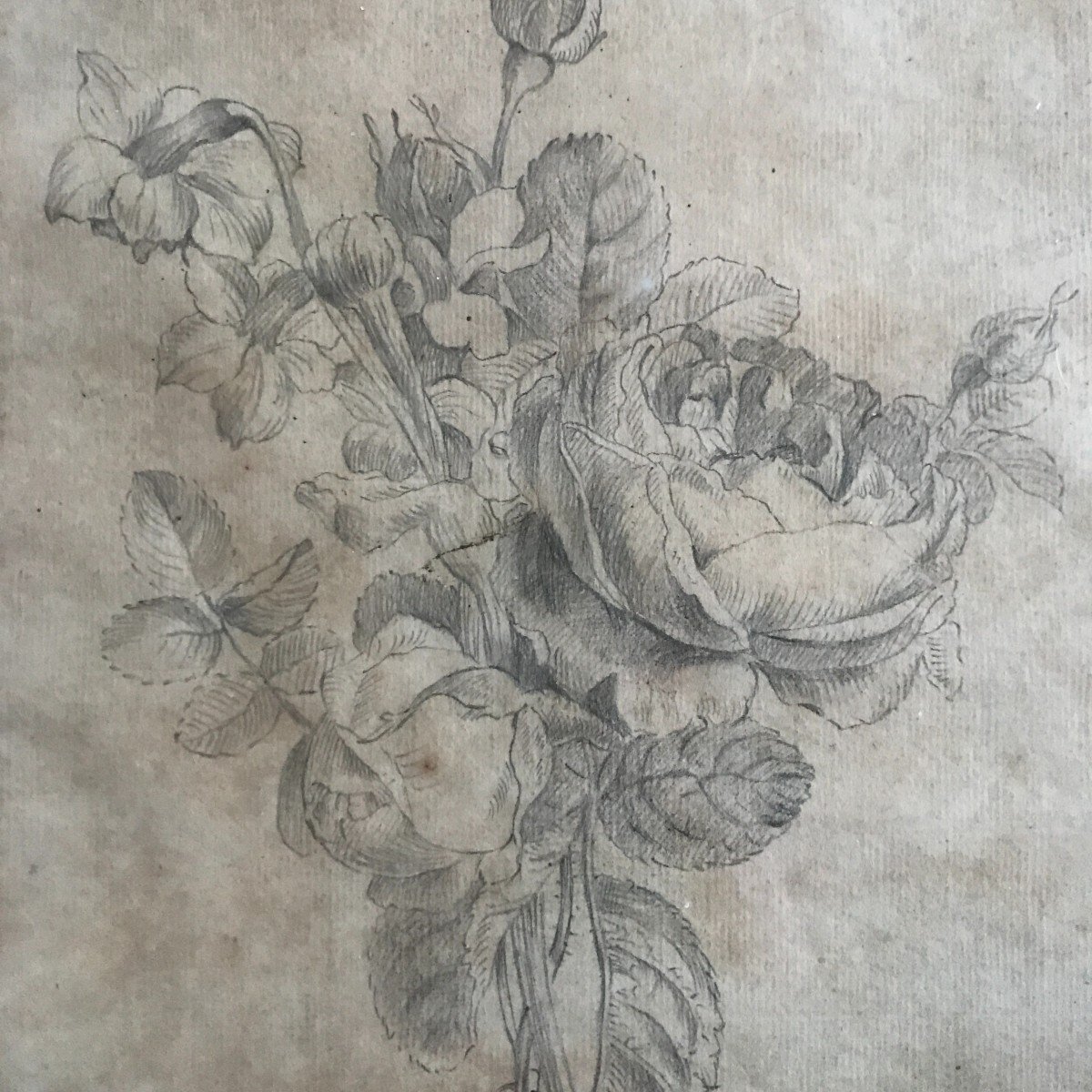 18th Century Drawing, Study Of Flowers Dated 1792 And Monogrammed Rb-photo-3