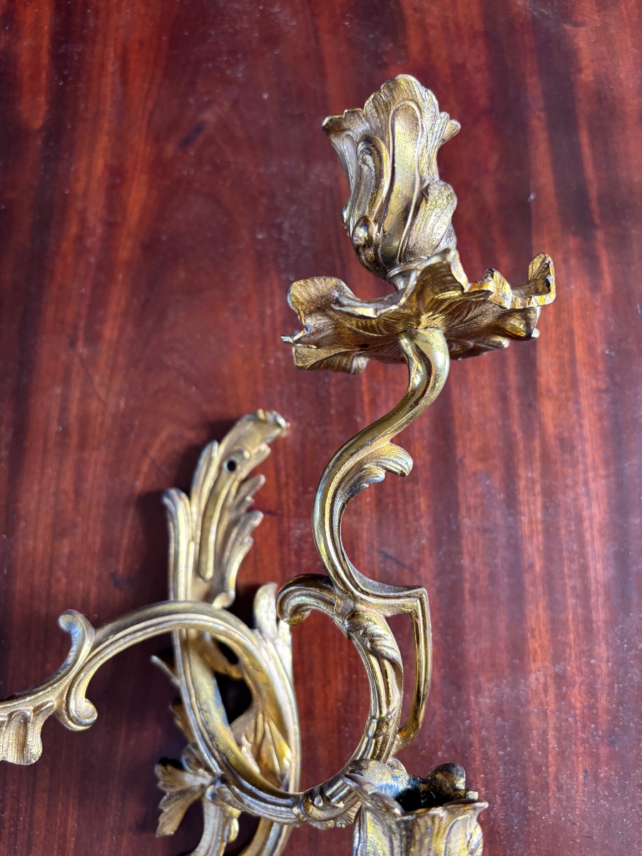 Paire d’appliques Louis XV de style rocaille en bronze doré -photo-2