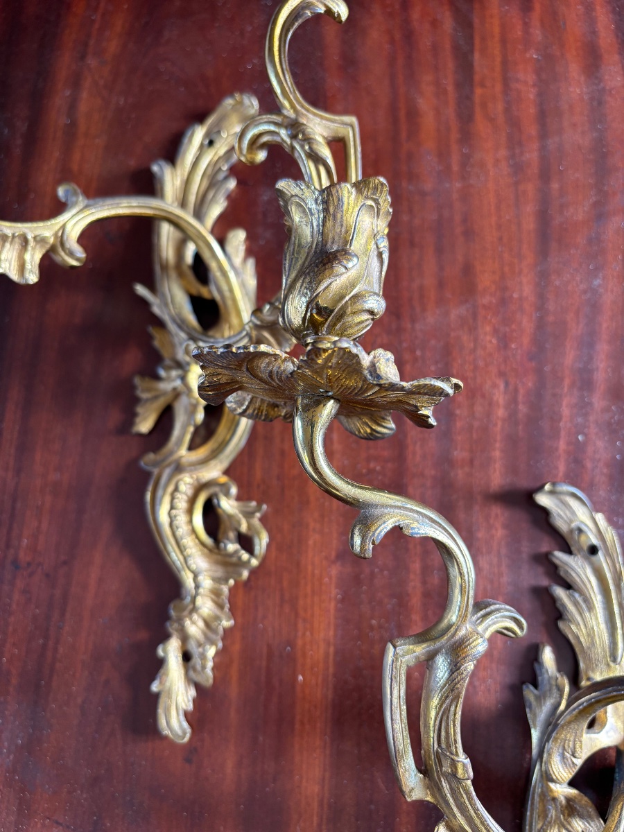 Paire d’appliques Louis XV de style rocaille en bronze doré -photo-3