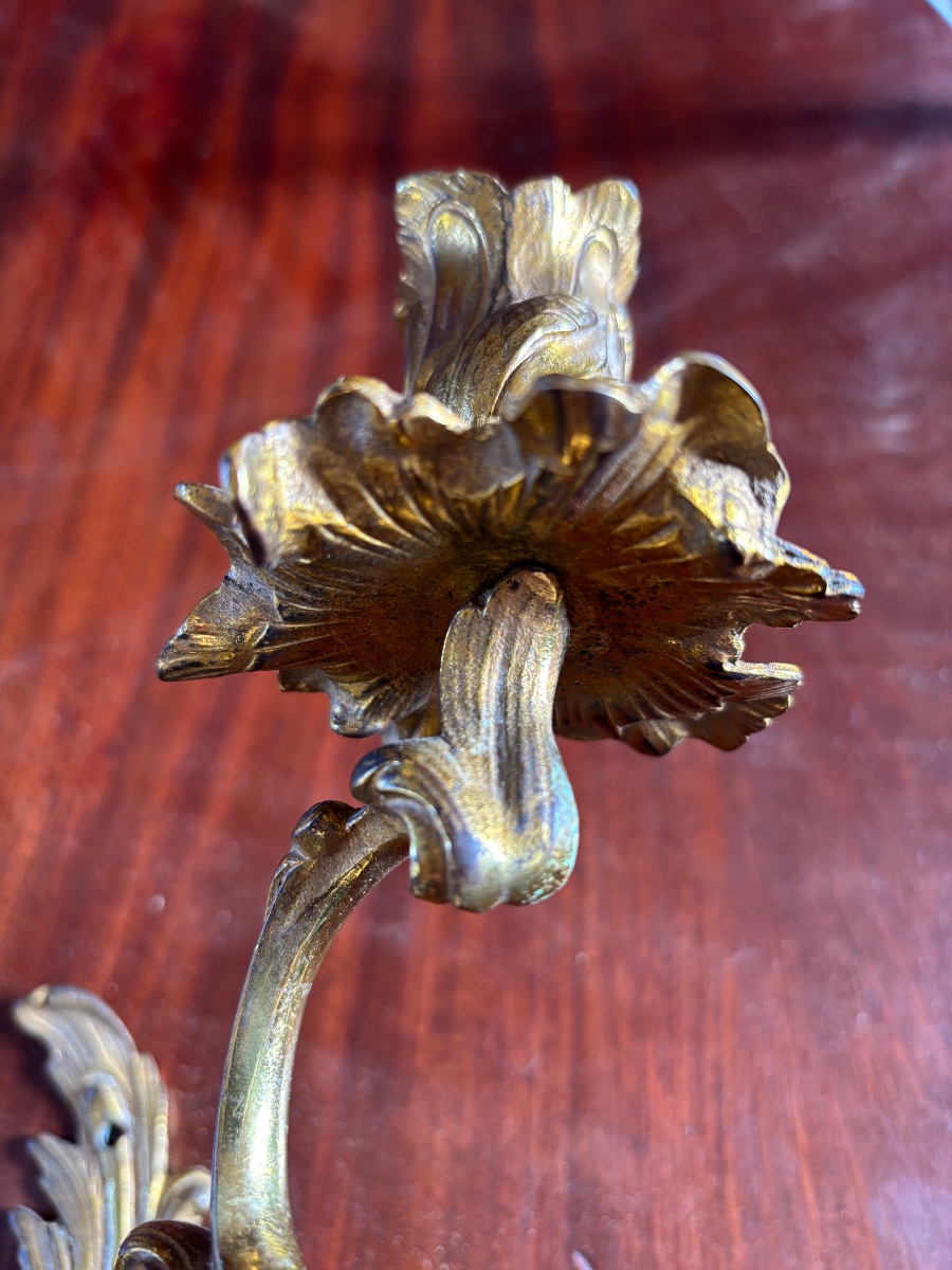 Paire d’appliques Louis XV de style rocaille en bronze doré -photo-4
