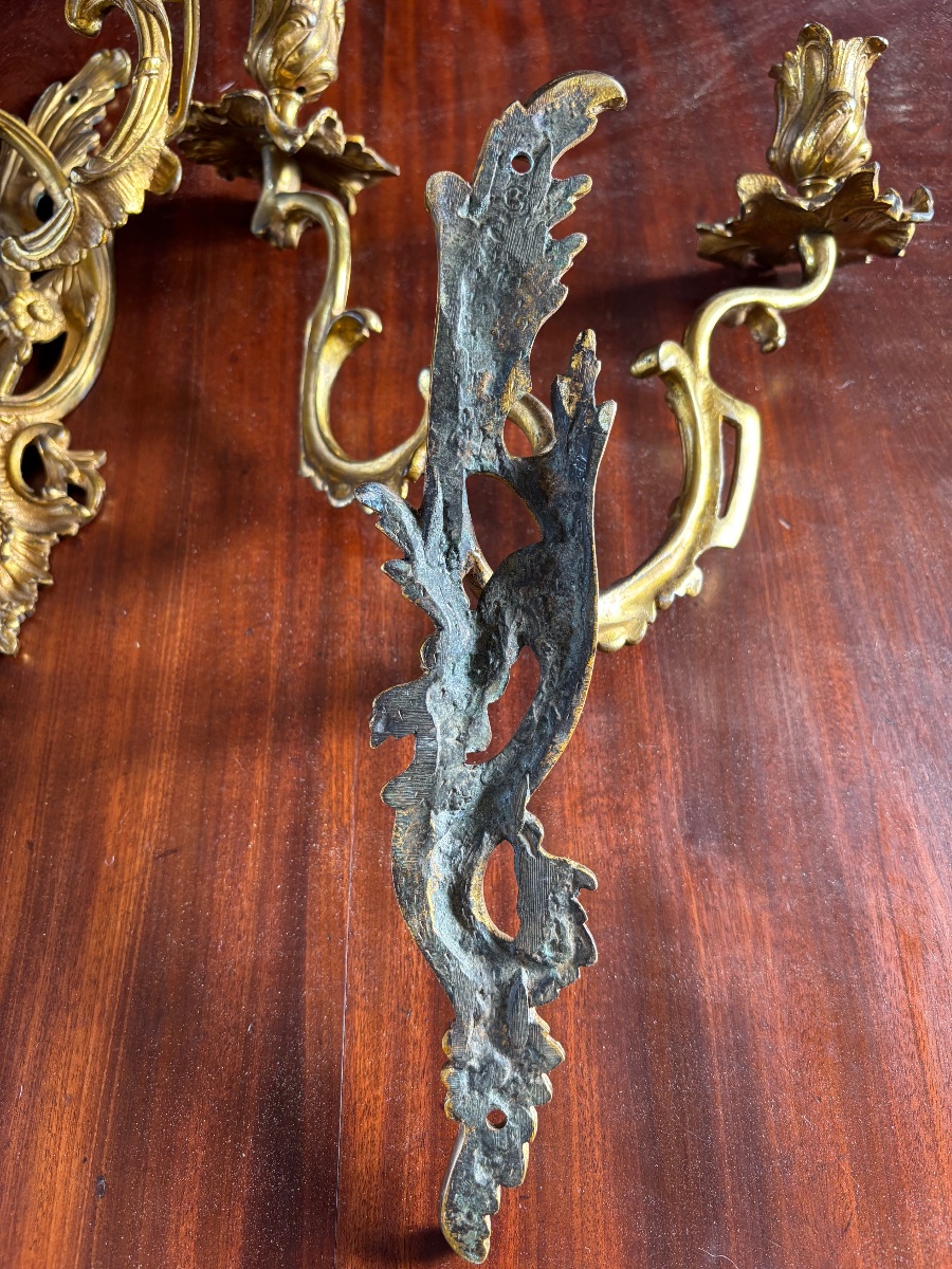 Paire d’appliques Louis XV de style rocaille en bronze doré -photo-3