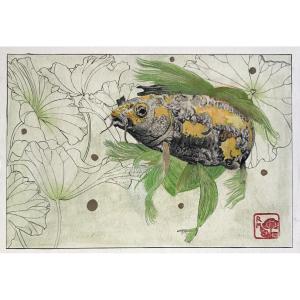Watercolor And Gouache On Paper Representing A 19th Century Carp