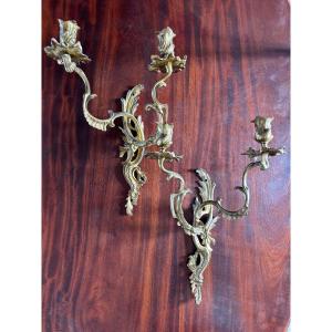 Pair Of Louis XV-style Rocaille Wall Sconces In Gilded Bronze