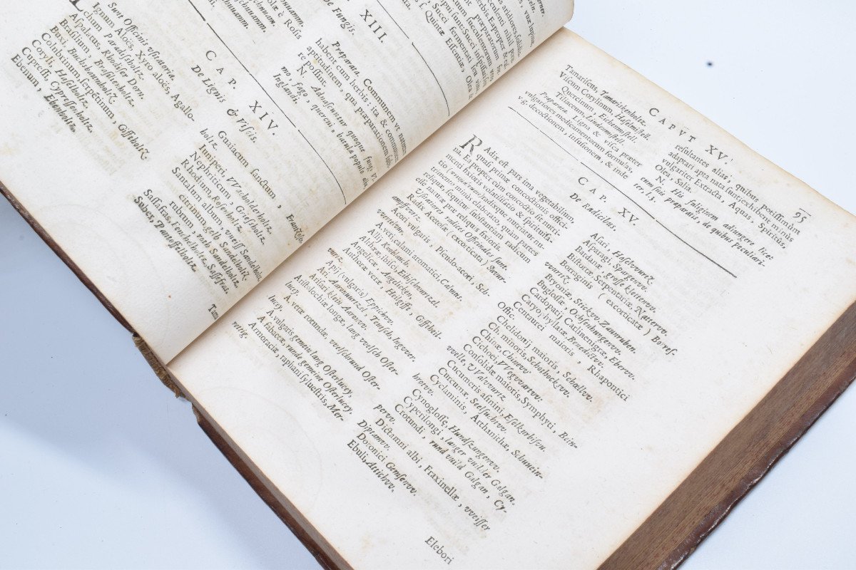 Old Book: Johannis Schroderi – Pharmacopeia Médico-chymica 1665 Rare-photo-5
