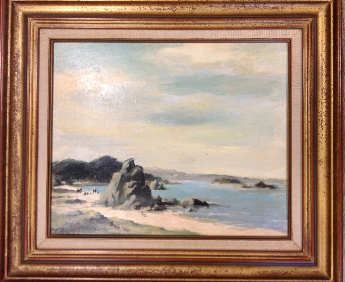 Tableau Bord De Mer En Bretagne-photo-1