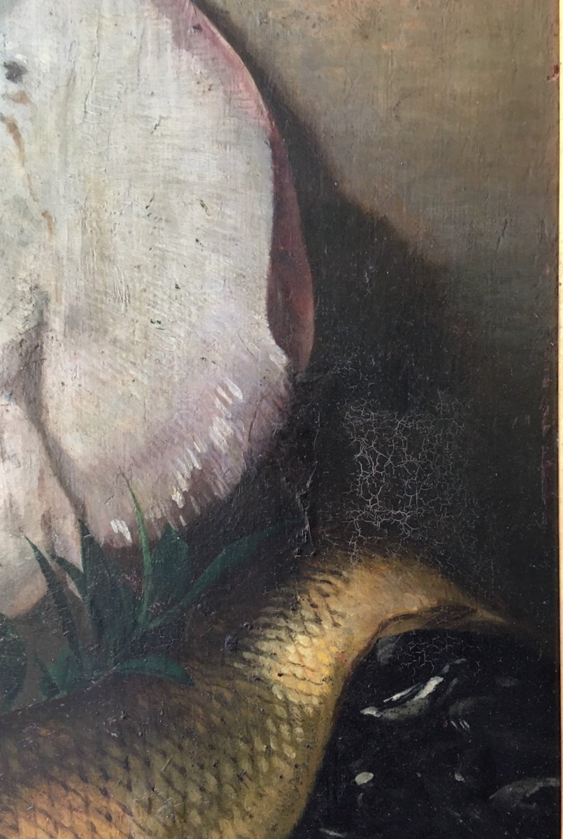 tableau nature morte -photo-5