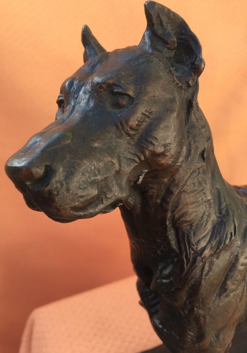 Bronze Dog Sculpture Signed Valton-photo-2